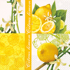 20 Servietten - 33 x 33 cm Zitrone / Foto,  Früchte - Südfrüchte,  Sonstiges - Schriften,  Sommer,  lunchservietten,  Zitronen