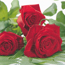20 Servietten - 33 x 33 cm Roses for you,  Blumen - Rosen,  Sommer,  lunchservietten