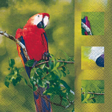 20 Servietten - 33 x 33 cm Ara,  Tiere - Vögel,  Everyday,  lunchservietten,  Papagei,  Aras