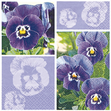 20 Servietten - 33 x 33 cm Stiefmütterchen Grafik,  Blumen - Stiefmütterchen,  Frühjahr,  lunchservietten