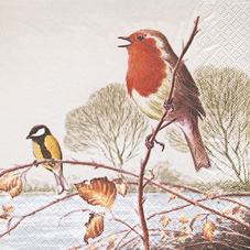 20 Servietten - 33 x 33 cm Robin Herbst,  Regionen - Wald / Wiesen,  Tiere - Vögel,  Winter,  lunchservietten,  Rotkelchen,  Meisen