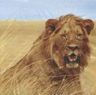20 Servietten - 33 x 33 cm Lion,  Tiere - Löwen,  Regionen - Afrika,  Everyday,  lunchservietten