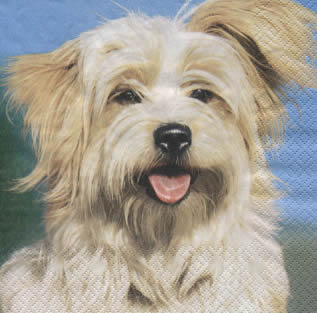 20 Servietten - 33 x 33 cm Billi,  Tiere - Hunde,  Everyday,  lunchservietten