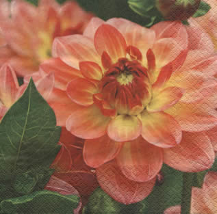 20 Servietten - 33 x 33 cm Doreen,  Blumen - Dalien,  Sommer,  lunchservietten