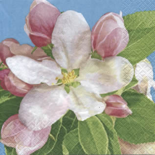 20 Servietten - 33 x 33 cm Apple Blossom,  Pflanzen -  Sonstige,  Frühjahr,  lunchservietten,  Kirschblüte