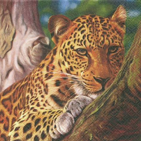 20 Servietten - 33 x 33 cm Leopard,  Tiere - Tiger,  Regionen - Afrika,  Everyday,  lunchservietten,  Leopard