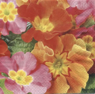 20 Servietten - 33 x 33 cm Primula,  Blumen - Primeln,  Frühjahr,  lunchservietten