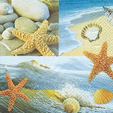 20 Servietten - 33 x 33 cm Ocean Patchwork,  Sonstiges - Steine,  Tiere,  Regionen - Strand / Meer - Muscheln,  Sommer,  lunchservietten,  Seesterne