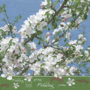 20 Servietten - 33 x 33 cm Spring Blossom,  Pflanzen,  Frühjahr,  lunchservietten,  Apfelblüte