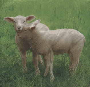 20 Servietten - 33 x 33 cm Two little Lambs,  Tiere - Schafe,  Frühjahr,  lunchservietten,  Lämmer
