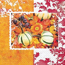 20 Servietten - 33 x 33 cm Pumpkin Mix,  Herbst - Blätter / Laub,  Früchte - Weintrauben,  Früchte - Kürbisse,  Herbst,  lunchservietten