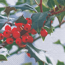 20 Servietten - 33 x 33 cm Ilex Foto,  Pflanzen - Ilex,  Weihnachten,  lunchservietten
