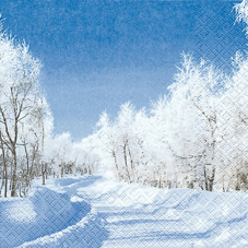 20 Servietten - 33 x 33 cm Winterday,  Winter - Schnee,  Weihnachten,  lunchservietten