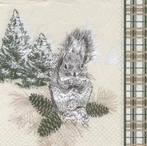 20 Servietten - 33 x 33 cm Squirrel,  Tiere - Eichhörnchen,  Weihnachten,  lunchservietten