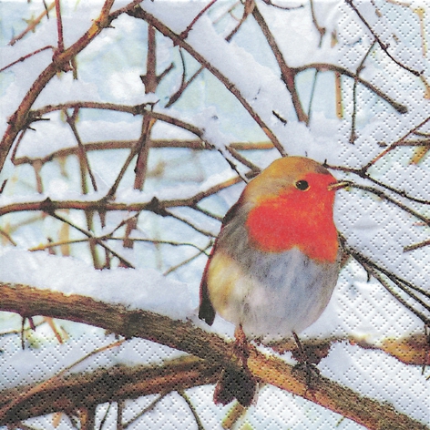 20 Servietten - 33 x 33 cm Robin in a winter Tree,  Winter - Schnee,  Tiere - Vögel,  Weihnachten,  lunchservietten,  Rotkelchen
