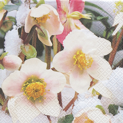 20 Servietten - 33 x 33 cm Snow Roses,  Winter - Schnee,  Blumen - Christrosen,  Weihnachten,  lunchservietten