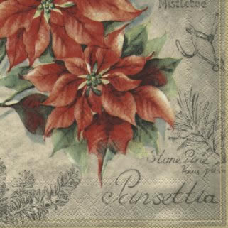 20 Servietten - 25 x 25 cm ,  Weihnachten - Weihnachtsstern,  Weihnachten,  cocktail servietten