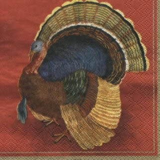 20 Servietten - 25 x 25 cm ,  Tiere - Vögel,  Everyday,  cocktail servietten,  Truthahn,  Puter