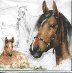 20 Servietten - 25 x 25 cm HORSE                                   ,  Tiere - Pferde,  Sommer,  cocktail servietten