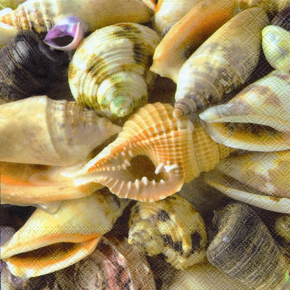 20 Servietten - 25 x 25 cm SEA SHELLS                              ,  cocktail servietten