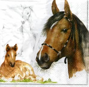 20 Servietten - 33 x 33 cm HORSE                                   ,  Sport - Reiten,  Tiere - Pferde,  Tiere -  Sonstige,  Everyday,  lunchservietten,  Bauernhof-Tier,  Bauernhof