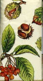 10 bedruckte Taschentücher ,  Früchte,  Herbst,  bedruckte papiertaschentücher