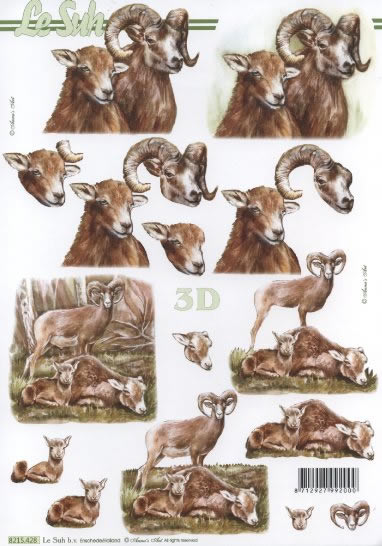 3D Bogen  - Format A4,  Tiere,  3D Bogen,  Steinbock, Gams