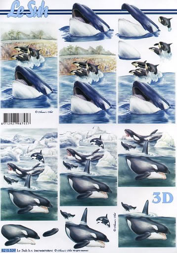 3D Bogen  - Format A4,  Tiere - Fische,  Le Suh,  Sommer,  3D Bogen,  Wale