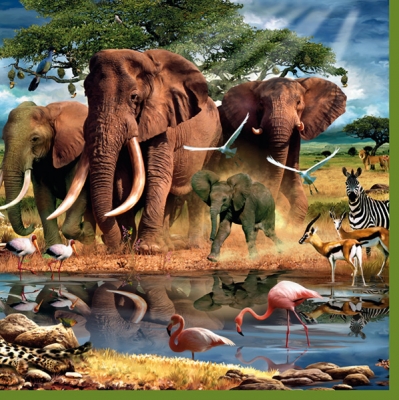 20 Servietten - 33 x 33 cm ,  Tiere - Vögel,  Regionen - Afrika,  Tiere - Elefanten,  Sommer,  lunchservietten