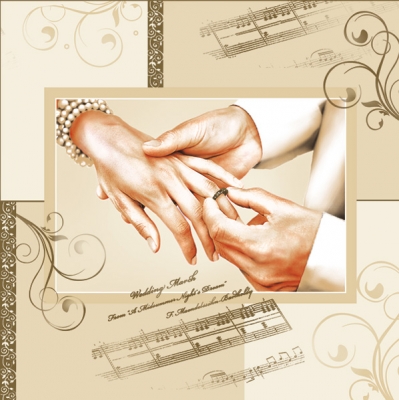 20 Servietten - 33 x 33 cm ,  Ereignisse - Liebe,  Ereignisse - Hochzeit,  Everyday,  lunchservietten