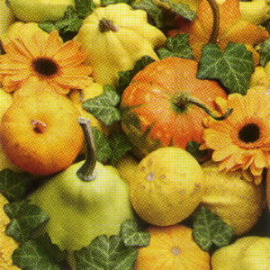20 Servietten - 33 x 33 cm PUMPKIN MIX,  Früchte - Kürbisse,  Pflanzen - Efeu,  Blumen -  Sonstige,  Herbst,  lunchservietten