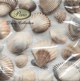 20 Servietten - 33 x 33 cm SEASHELLS,  Regionen - Strand / Meer - Muscheln,  Sommer,  lunchservietten