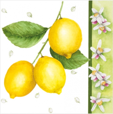 20 Servietten - 33 x 33 cm CITRUS LIMON,  Früchte - Südfrüchte,  Sommer,  lunchservietten,  Zitronen