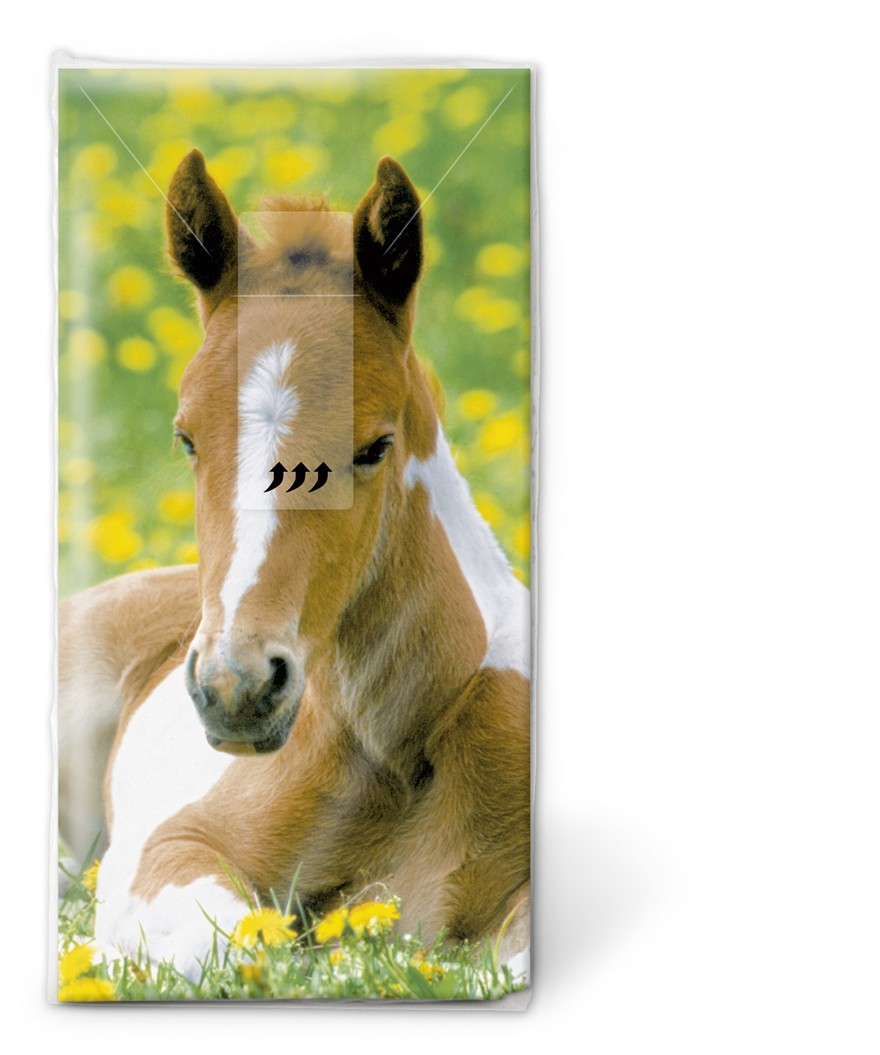 10 bedruckte Taschentücher Foal, Tiere,  Regionen - Wald / Wiesen,  Everyday,  bedruckte papiertaschentücher,  Pferd