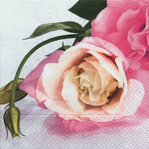 20 Servietten - 25 x 25 cm Bella rosa,  Blumen - Rosen,  Sommer,  cocktail servietten