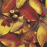 20 Servietten - 25 x 25 cm Autumn foliage, Regionen - Wald / Wiesen,  Früchte - Äpfel,  Früchte,  Herbst - Blätter / Laub,  Herbst,  cocktail servietten,  Laub,  Äpfel