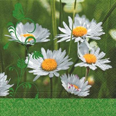 20 Servietten - 25 x 25 cm Daisies on green,  Blumen - Magariten,  Sommer,  cocktail servietten