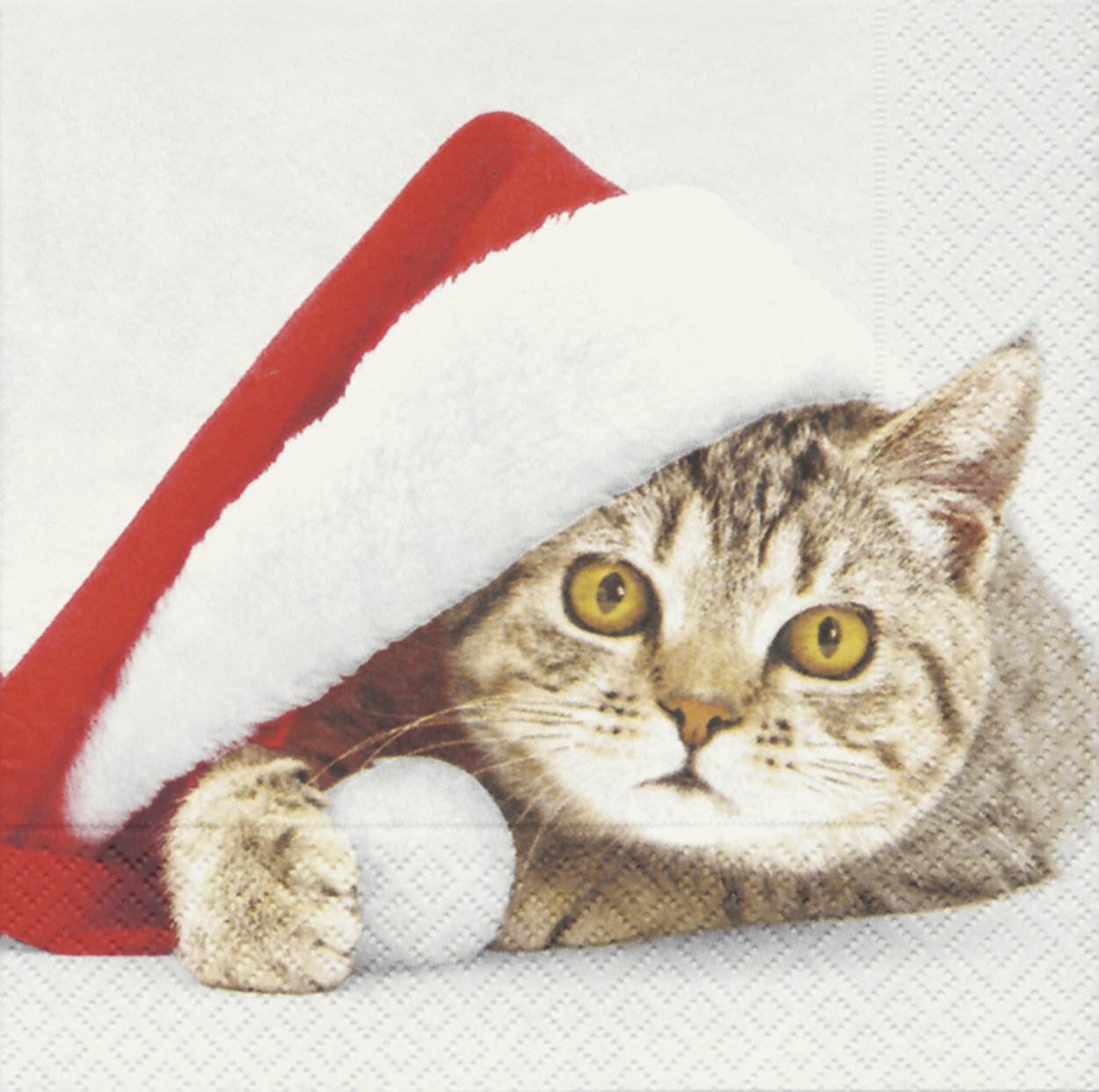 20 Servietten - 33 x 33 cm Santa cat,  Tiere - Katzen,  Weihnachten - Weihnachtsmann,  Weihnachten,  lunchservietten