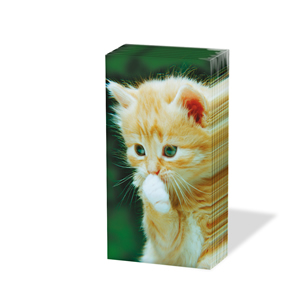 10 bedruckte Taschentücher ,  Tiere,  Everyday,  bedruckte papiertaschentücher,  Katzen