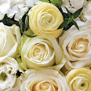 20 Servietten - 33 x 33 cm , Blumen - Rosen,  Blumen,  Blumen -  Sonstige,  Ereignisse - Feier,  Sommer,  lunchservietten,  Hochzeit