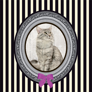 20 Servietten - 33 x 33 cm ,  Tiere - Katzen,  Sonstiges - Muster,  Everyday,  lunchservietten