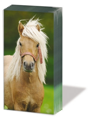 10 bedruckte Taschentücher ,  Tiere,  Sommer,  bedruckte papiertaschentücher