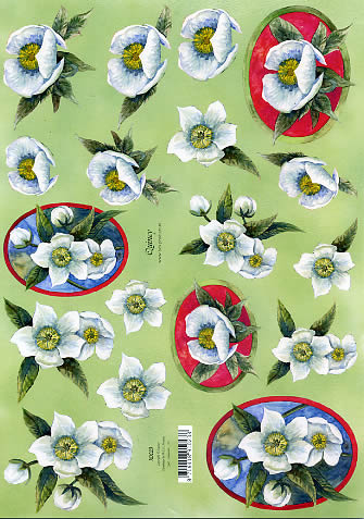 3D Bogen  - Format A4,  Blumen,  Blumen -  Sonstige,  Blumen - Christrosen,  Weihnachten,  3D Bogen, Christrosen im Ovalen Rahmen