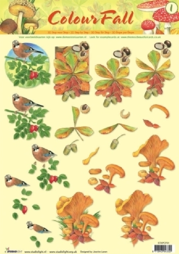 3D Bogen Colour Fall - Format A4, Tiere - Vögel,  Früchte - Pilze,  3D Bogen