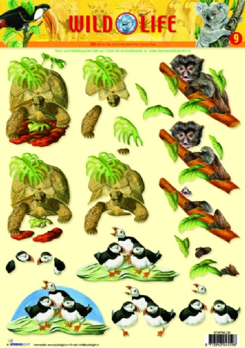 3D Bogen Wild Life - Format A4,  Tiere - Vögel,  3D Bogen,  Papageientaucher,  Schildkröten,  Affen