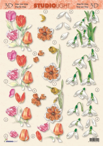 3D Bogen Flowers - Format A4,  Blumen - Tulpen,  3D Bogen,  Schneeglöckchen