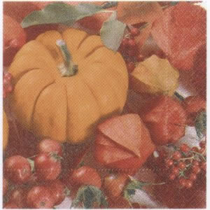 20 Servietten - 33 x 33 cm S4443A.,  Früchte - Kürbisse,  Herbst,  lunchservietten,  Lampionblume