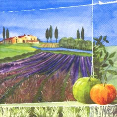 20 Servietten - 33 x 33 cm Champ de Lavande,  Regionen - Mediteran,  Früchte - Kürbisse,  Blumen - Lavendel,  Sommer,  lunchservietten