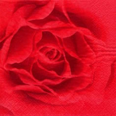 20 Servietten - 33 x 33 cm Scent of a Rose red,   Einfarbige Servietten,  Blumen - Rosen,  Sommer,  lunchservietten
