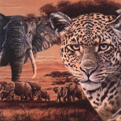 20 Servietten - 33 x 33 cm Safari Collage,  Tiere - Elefanten,  Regionen - Afrika,  Sommer,  lunchservietten,  Geparden